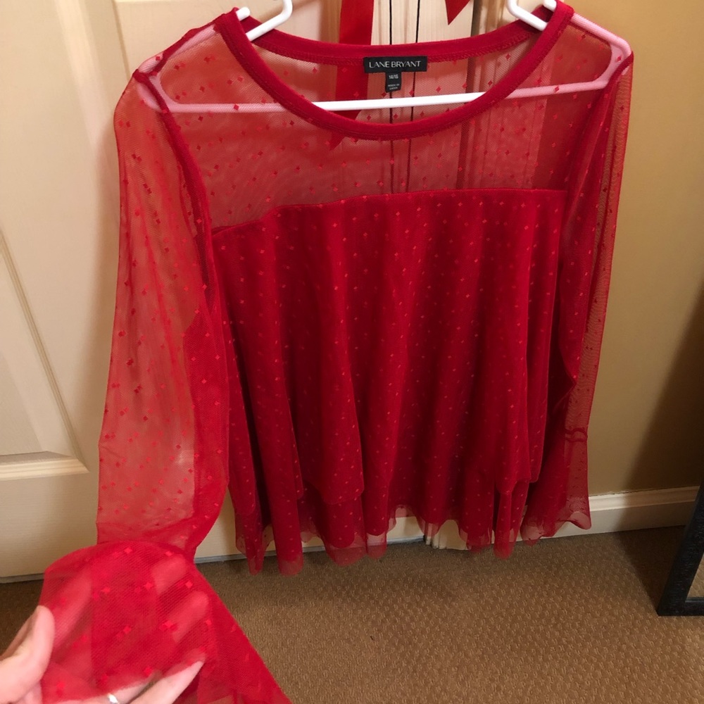 Lane Bryant sheer long sleeve